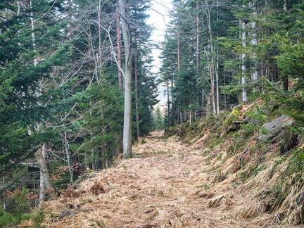 20220205202126-264a8f9b